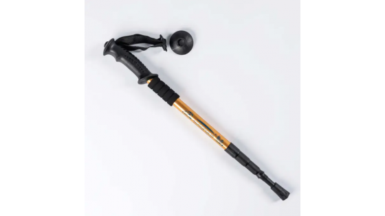 Палиця грибника з компасом Acropolis ПМГ-1 (золота)