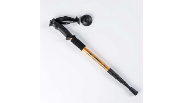 Палиця грибника з компасом Acropolis ПМГ-1 (золота) Палиця грибника з компасом Acropolis ПМГ-1 (золота)