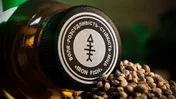 100% Hemp Oil / Конопляна олія 250 мл