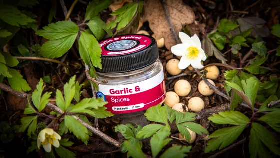 Бойл насадочний розчинний Garlic & Spices – 12 мм