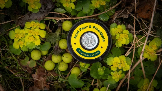 Бойл насадочний розчинний Acid Pear & Pineapple  – 14 мм