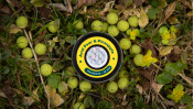 Бойл насадочний розчинний Acid Pear & Pineapple  – 12 мм