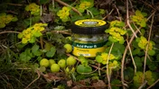 Бойл насадочний розчинний Acid Pear & Pineapple  – 14 мм