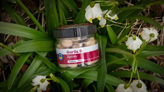 Бойл насадочний розчинний Garlic & Spices  – 14 мм