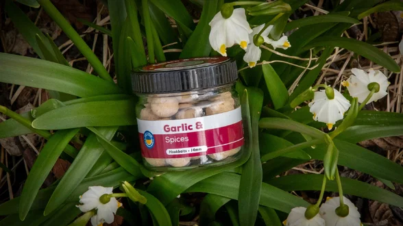 Бойл насадочний розчинний Garlic & Spices – 14 мм Бойл насадочний розчинний Garlic & Spices – 14 мм