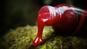 Turbo bud – Bloodworm & Red Worm. Мотиль & Червʼяк
