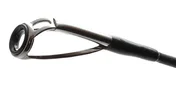 фото Спінінг Favorite Prodigy Jerk PRJC 591MH, 1.75m 180g 1693.70.01 №2 | Трофей