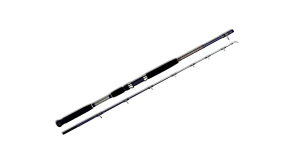фото Спінінг Prox Blue Runner 80-210 2.1m 50-150g  1850.00.29 | Трофей