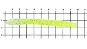 Черв'як силікон. WACKY WORM LJ Pro Series 5,7 "/ 071 *6