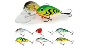 Воблер плаваюч. SALMO BUTCHER 5F / RH Воблер плаваюч. SALMO BUTCHER 5F / RH