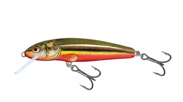 Воблер тонуч. SALMO MINNOW 7S / RBD Воблер тонуч. SALMO MINNOW 7S / RBD