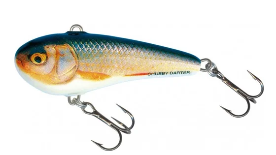 Воблер SALMO CHUBBY DARTER CD3-RR Воблер SALMO CHUBBY DARTER CD3-RR