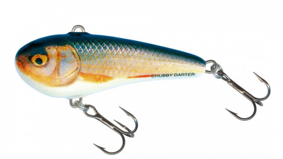 Воблер SALMO CHUBBY DARTER CD4-RR