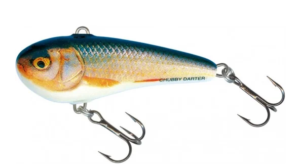 Воблер SALMO CHUBBY DARTER CD4-RR Воблер SALMO CHUBBY DARTER CD4-RR