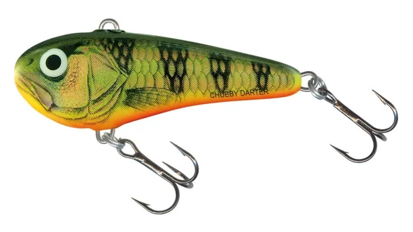 Воблер SALMO CHUBBY DARTER CD5-GRP АКЦІЯ!!!!!! Воблер SALMO CHUBBY DARTER CD5-GRP АКЦІЯ!!!!!!