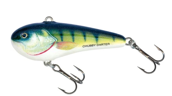 Воблер SALMO CHUBBY DARTER CD5-PH Воблер SALMO CHUBBY DARTER CD5-PH