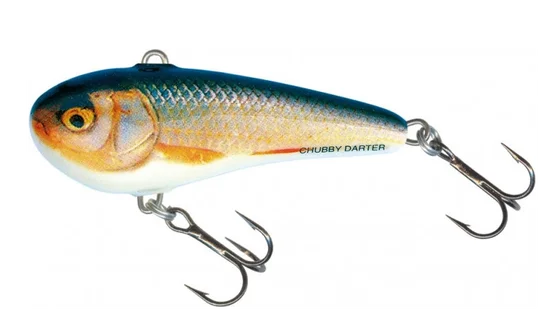 Воблер SALMO CHUBBY DARTER CD5-RR Воблер SALMO CHUBBY DARTER CD5-RR