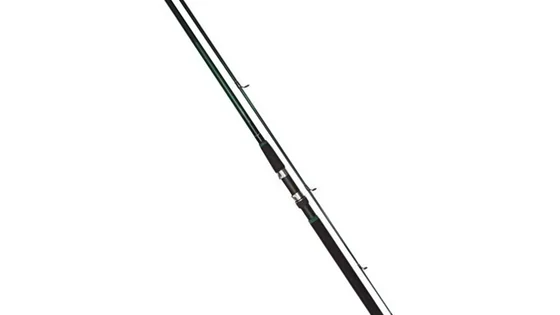 Вудилище спінінгове Salmo Taifun SPIN 40 10-40/2.40